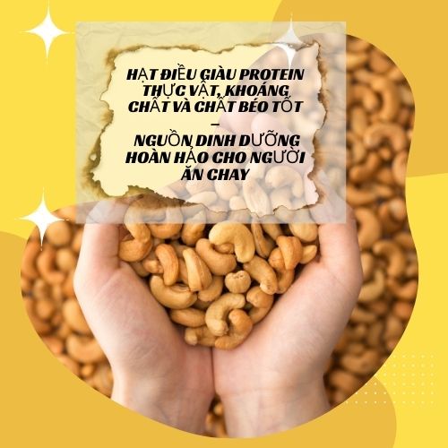 Hạt điều giàu protein thực vật, khoáng chất và chất béo tốt– nguồn dinh dưỡng hoàn hảo cho người ăn chay