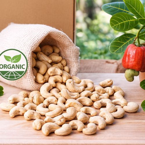 Hạt điều hữu cơ– Xu hướng sống xanh an toàn và tốt cho sức khỏe