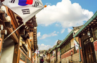 Minh Khang bán những loại nào?